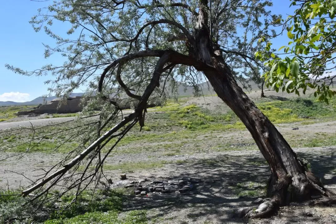 طبیعت بهاری روستای انجدان