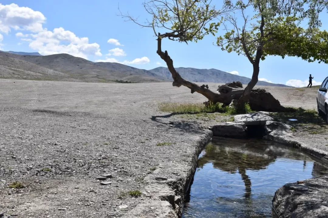 طبیعت بهاری روستای انجدان