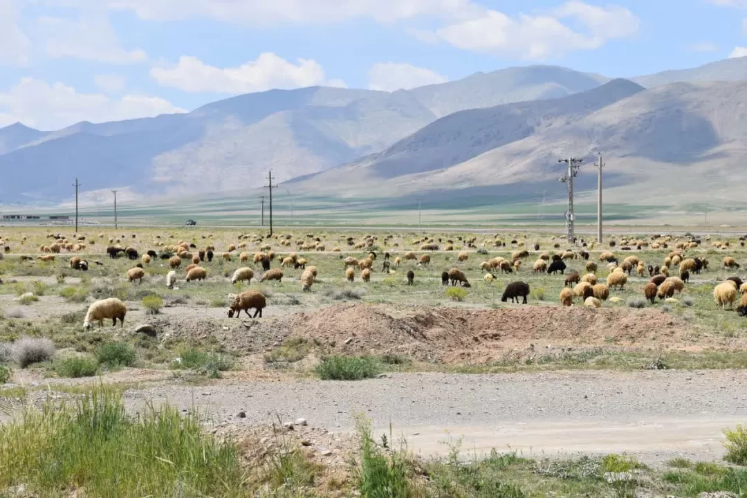 طبیعت بهاری روستای انجدان