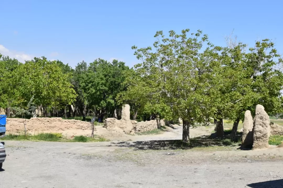 طبیعت بهاری روستای انجدان