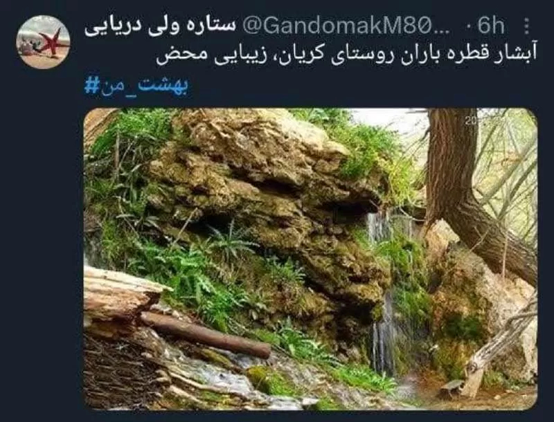 واکنش کاربران فضای مجازی به روز تفرش