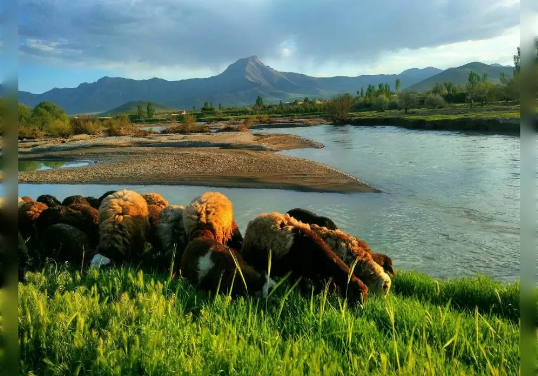 طبیعت زیبای بهاری خنداب