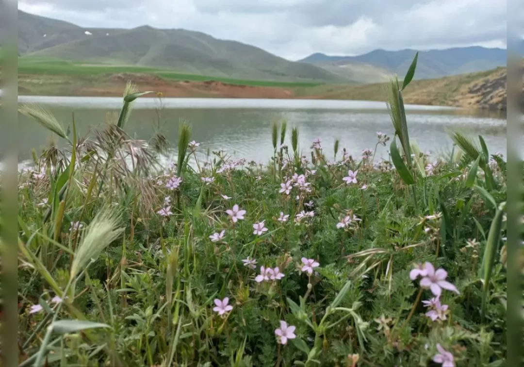 طبیعت زیبای بهاری خنداب