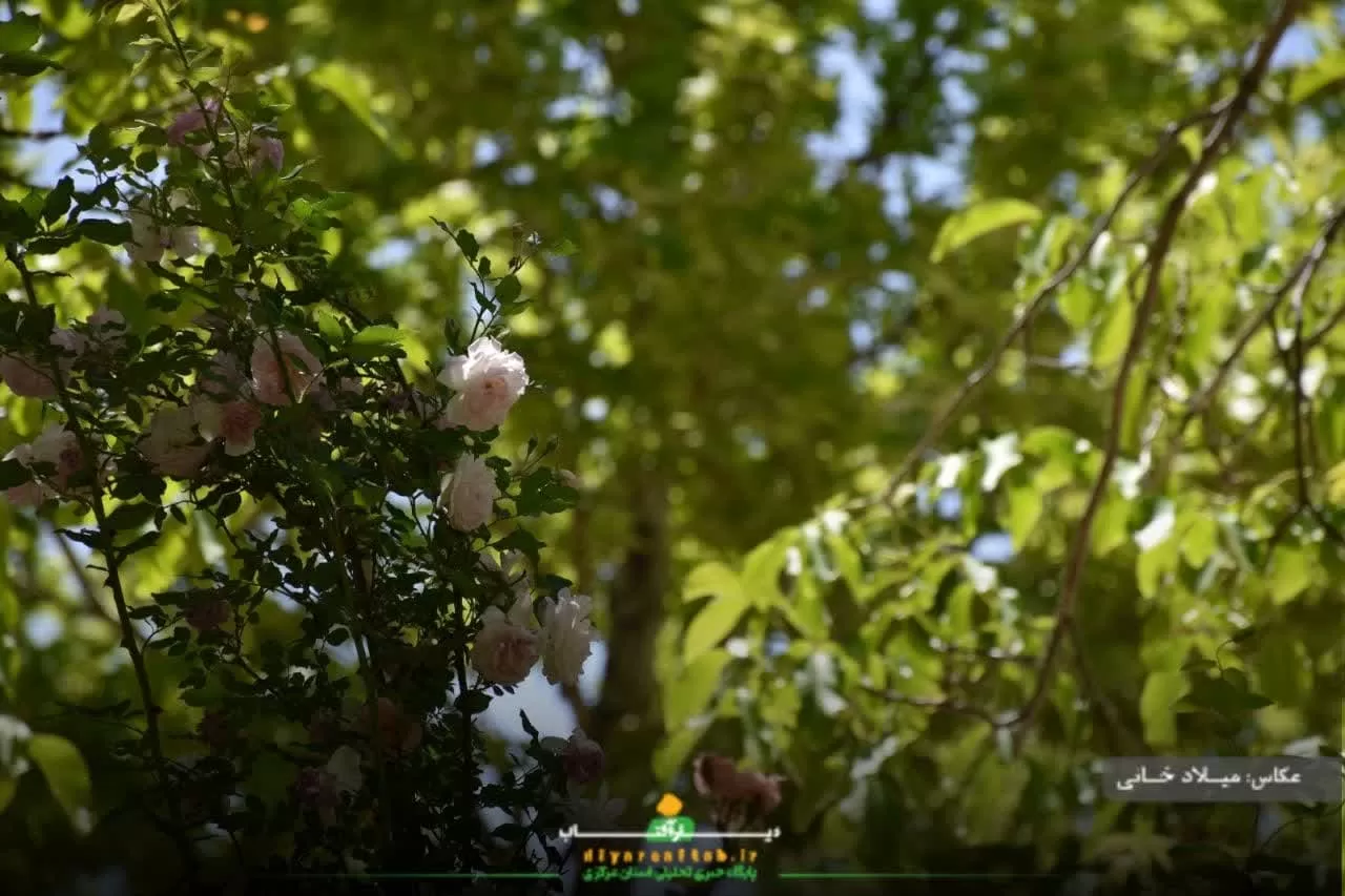 آرامش طبیعت در روستای سورانه