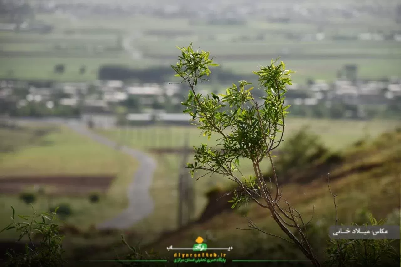 آرامش طبیعت در روستای سورانه