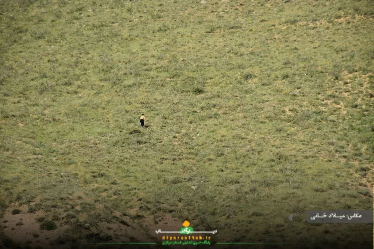 آرامش طبیعت در روستای سورانه