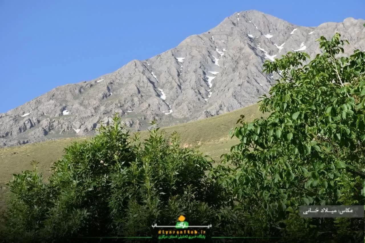 آرامش طبیعت در روستای سورانه