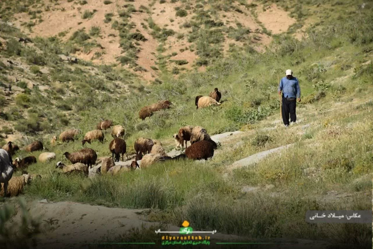 آرامش طبیعت در روستای سورانه