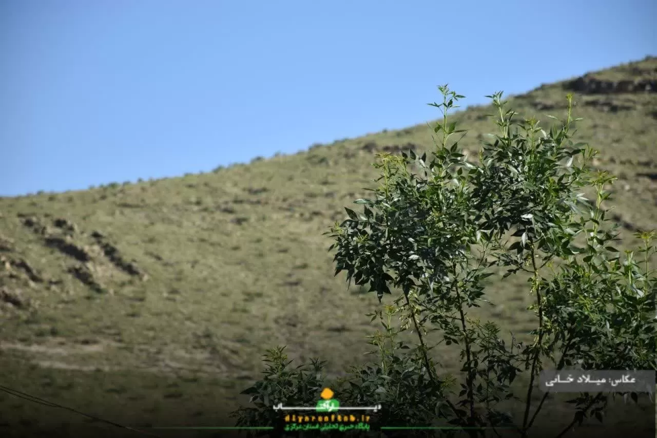 آرامش طبیعت در روستای سورانه